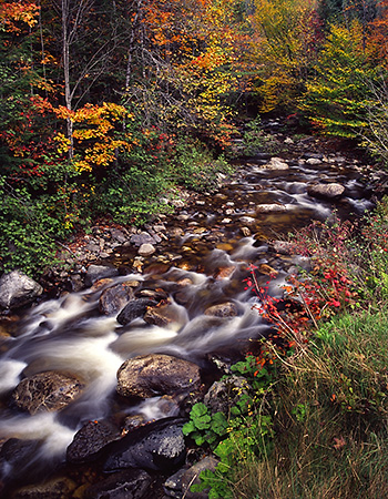 Flows Along a Rural Creek in Fall, NH